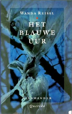 Het blauwe uur