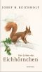 Das Leben der Eichhörnchen