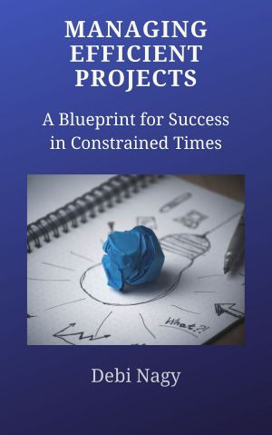 Managing Efficient Projects · A Blueprint for Success in Constrained Times