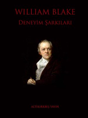 Deneyim Şarkıları