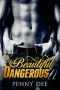 Beautiful Dangerous