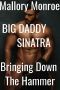 Big Daddy Sinatra_Bringing Down the Hammer