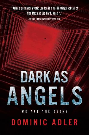 Dark as Angels · We are the Enemy