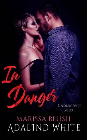 In Danger (Undercover Book 1)