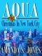 Aqua - Christmas in New York City (Aqua Romance Travel Series)