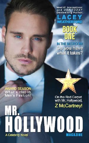 Mr. Hollywood (A Celebrity Novel Book 1)