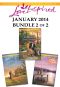 Love Inspired January 2014 - Bundle 2 of 2 · Bayou Sweetheart\The Firefighter's New Family\Season of Redemption