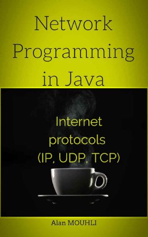 Network Programming in Java · Internet Protocols (IP, UDP, TCP)