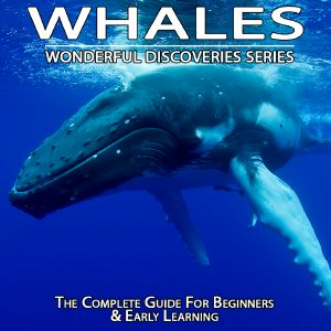 Whales