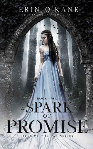 A Spark of Promise: Fires of the Fae, book two (Fires of the Fae Series 2)