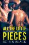 All The Little Pieces: Book Two In A Navy SEAL Security Series Military Romance (The Omega Security Series 2)