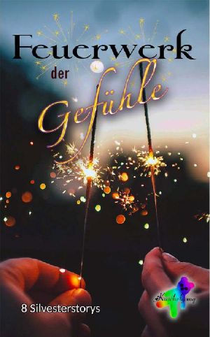 Feuerwerk der Gefühle · 8 Silvesterstorys