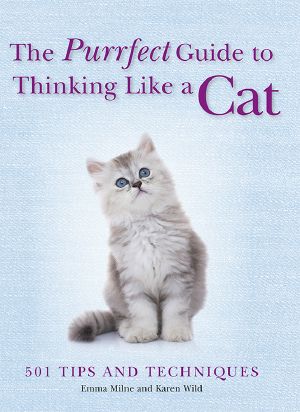 The Purrfect Guide to Thinking Like a Cat