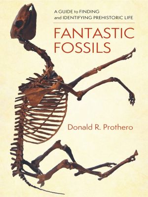 Fantastic Fossils, A Guide to Finding and Identifying Prehistoric Life