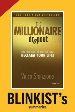 The Millionaire Dropout by Vince Stanzione