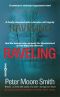 Raveling · A Novel