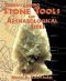 Understanding Stone Tools and Archaeological Sites