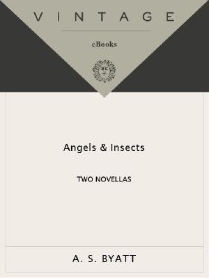 Angels and Insects