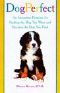 Dogsmart · the Ultimate Guide for Finding the Dog You Want and Keeping the Dog You Find