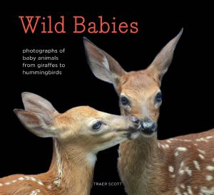 Wild Babies