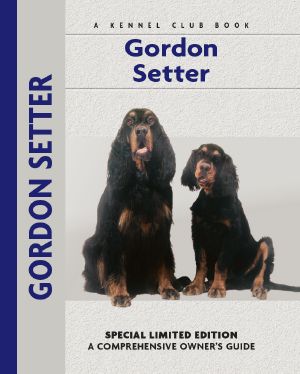 Gordon Setter