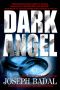 Dark Angel (Lassiter/Martinez Case Files #2)