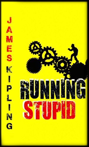 Running Stupid · (Mystery Series)