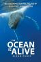 The Ocean Is Alive · Re-Visioning Our Relationship With the Living Ocean