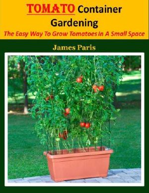 Tomato Container Gardening · the Easy Way to Grow Tomatoes in a Small Space