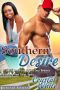 Southern Desire - a Sensual Interracial BWWM Sexy Romance Short Story From Steam Books