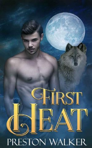 First Heat · A First Time Gay Accidental Pregnancy Romance (Omega Bait Book 1)