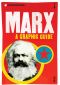 Introducing Marx: A Graphic Guide