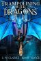 Trampolining with Dragons