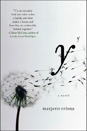 A Novel