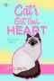 Cat's Got Your Heart