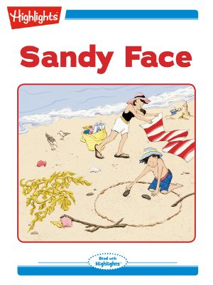 Sandy Face