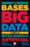 Las bases de big data y de la inteligencia artificial