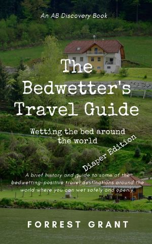 The Bedwetter's Travel Guide (Diaper Edition)