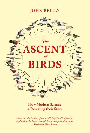 The Ascent of Birds