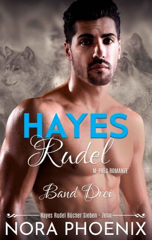 Hayes Rudel · Box Set 07-10