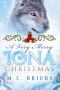 A Very Merry Iona Christmas