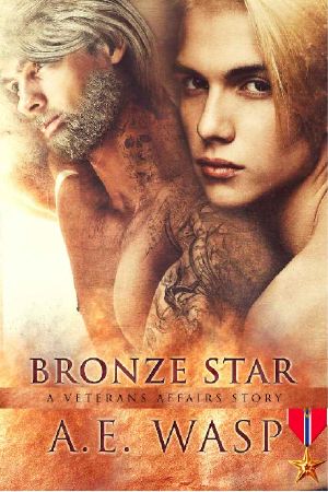 Bronze Star · A Veterans Affairs Novel