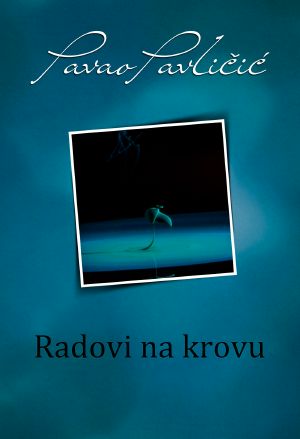 Radovi na krovu