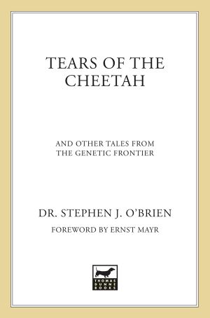 Tears of the Cheetah