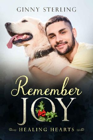 Remember Joy (Healing Hearts Book 4)