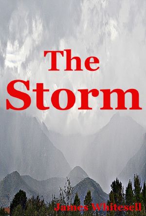 The Storm