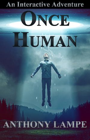 Once Human