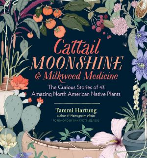 Cattail Moonshine & Milkweed Medicine