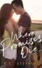 Where Promises Die: A Second Chance Romance