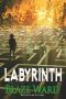 Labyrinth